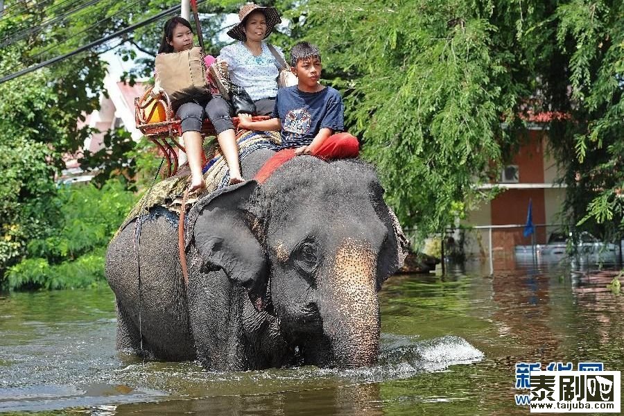泰国洪水