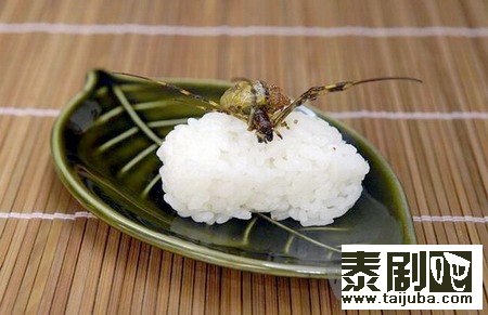 泰国美食“昆虫”寿司剧照、海报12