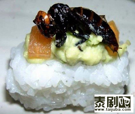 泰国美食“昆虫”寿司7