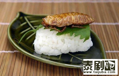 泰国美食“昆虫”寿司10
