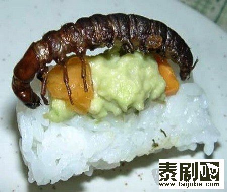 泰国美食“昆虫”寿司剧照、海报5