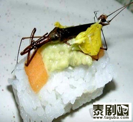 泰国美食“昆虫”寿司剧照、海报4