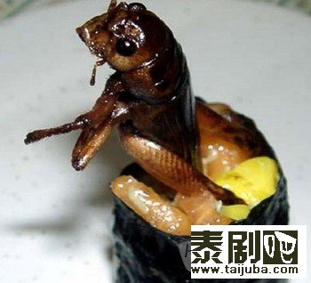 泰国美食“昆虫”寿司1