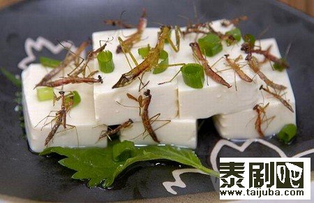 泰国美食“昆虫”寿司13
