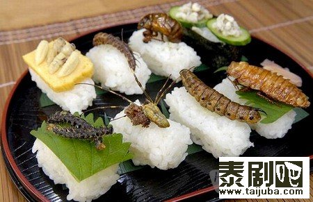 泰国美食“昆虫”寿司剧照、海报0