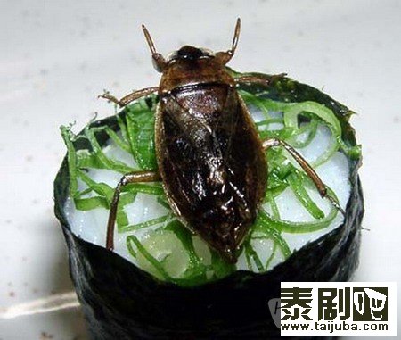 泰国美食“昆虫”寿司剧照、海报2