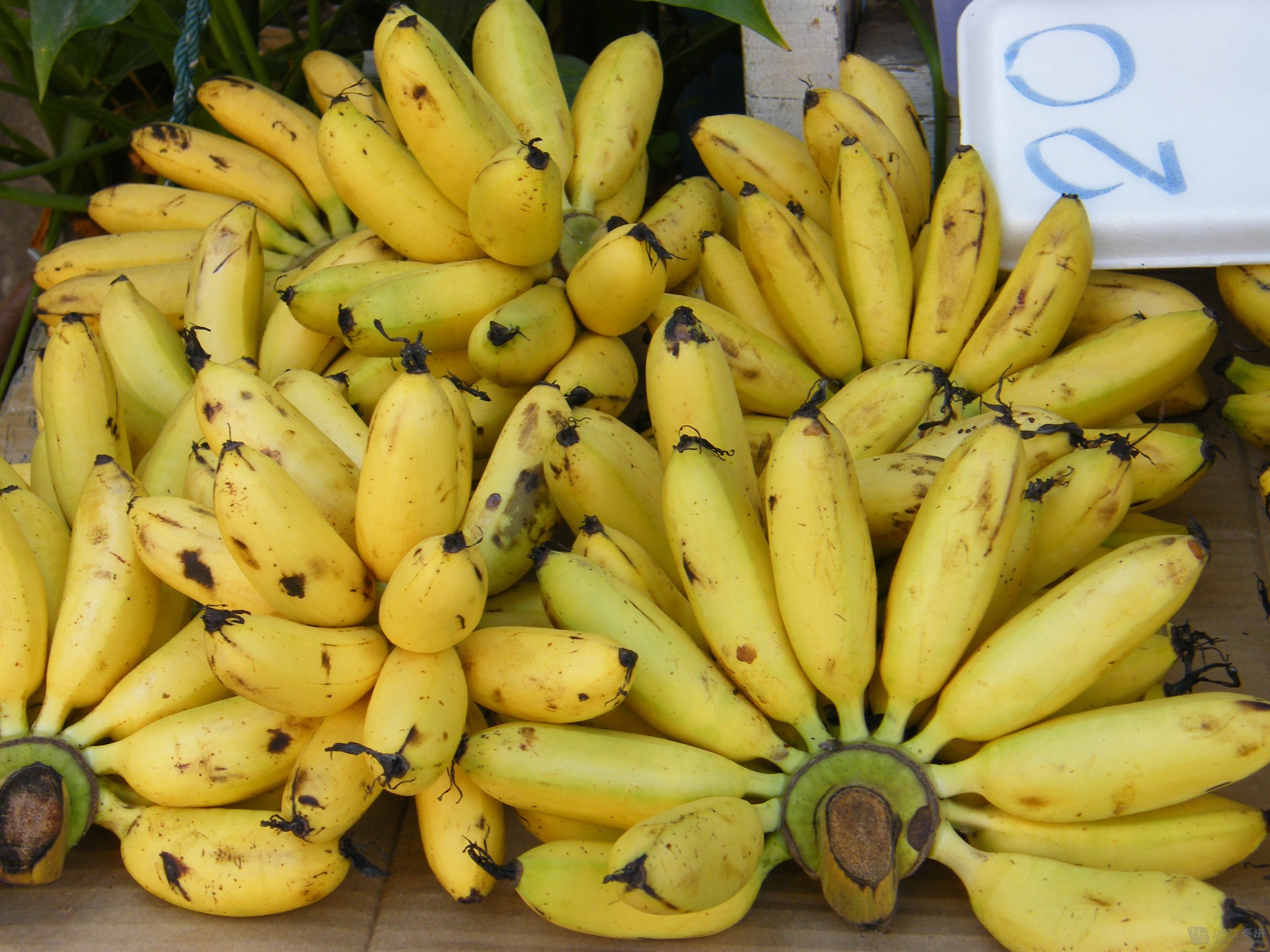 泰国十大令人发胖的特产美味水果第一名 香芽蕉