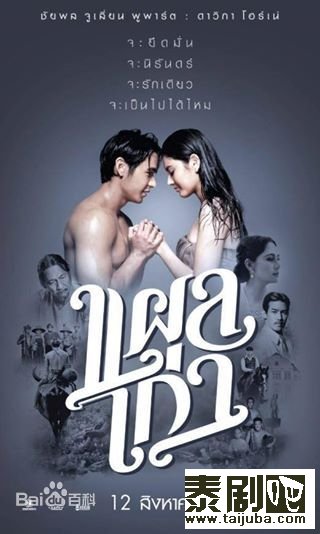 泰国电影《旧伤》