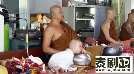 泰国超萌小和尚走红 被赞治愈系小光头