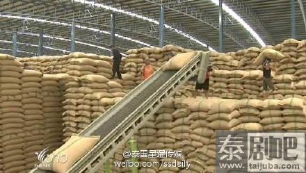 泰国预计今年将重拾最大稻米出口国桂冠
