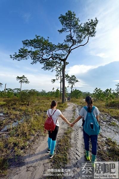 泰国黎府高峰Phu Kradueng国家园林美景图片