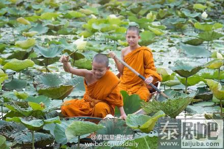 摄影师镜头下的泰国