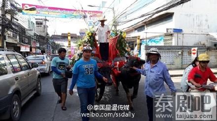 泰国春武里府=赛牛节现场照