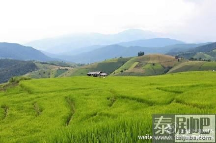 泰国清迈湄占县Ban Pa Bong Piang梯田原始淳朴风景