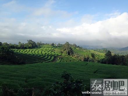 泰国清迈湄占县Ban Pa Bong Piang梯田原始淳朴风景