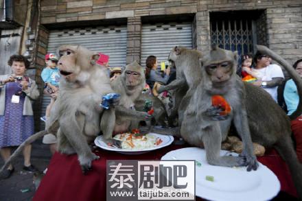 泰国百姓为猴子大摆蔬果宴