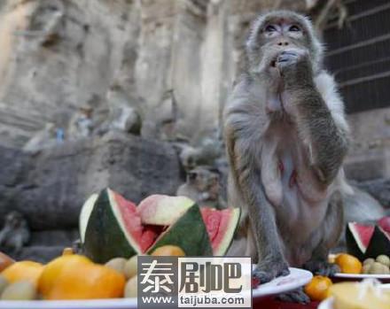 泰国百姓为猴子大摆蔬果宴
