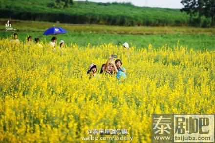 泰国北榄坡金黄麻花美景