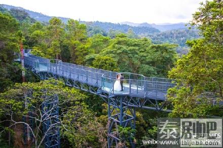 清迈诗丽吉王后植物园树冠走道