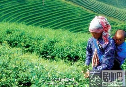 泰北美斯乐村美景