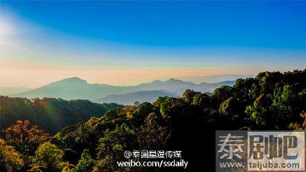 泰国旅游:清迈花季美景 你的冬季TA的花季