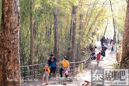 泰国旅游:莱府Phu Kradueng景区美景