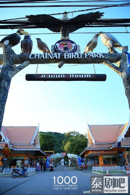 泰国Chainat府鸟类生态公园