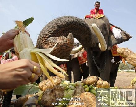 泰国举行全国大象日