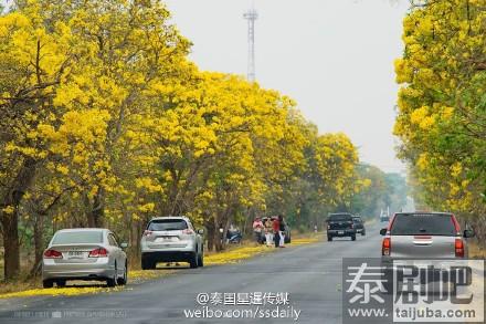 泰国唯美花道