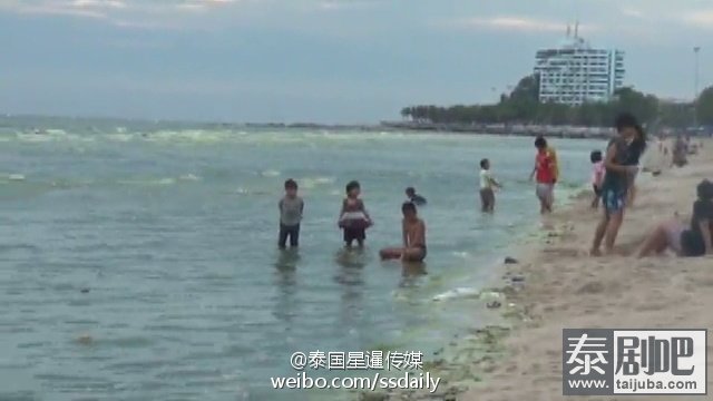 泰国春武里挽盛海域现绿色浮游物