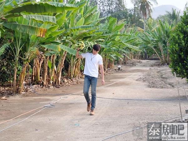 泰星Push的家