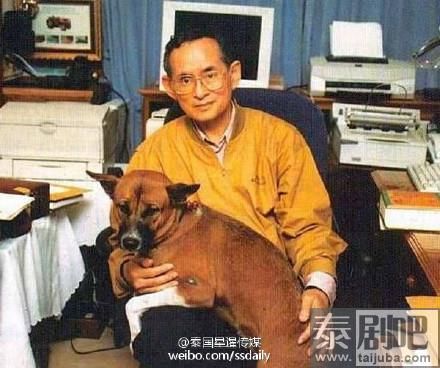 泰国国王与狗狗的合影