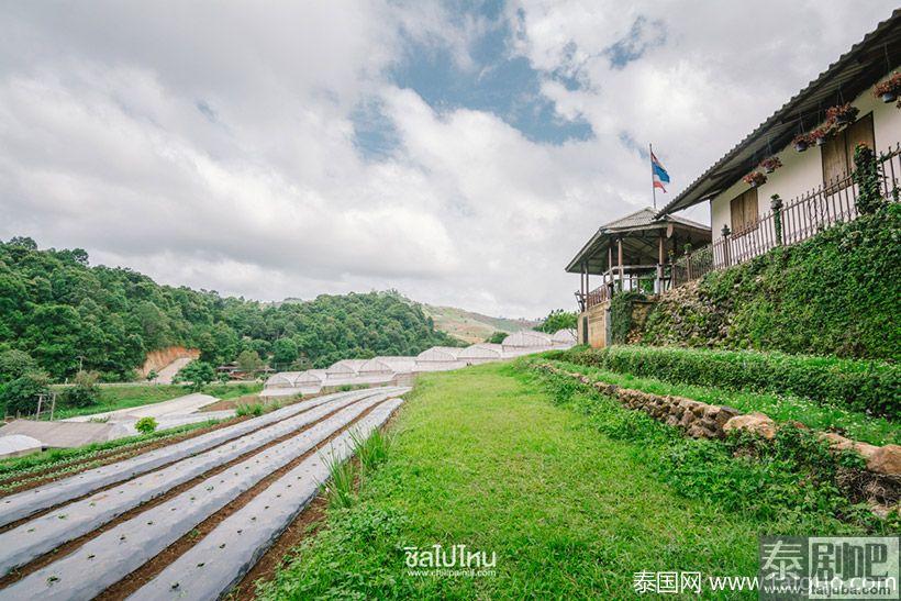 泰国旅游:清迈Nong Hoi皇家农业发展基地