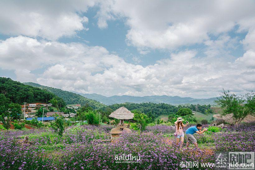 泰国旅游:清迈Nong Hoi皇家农业发展基地