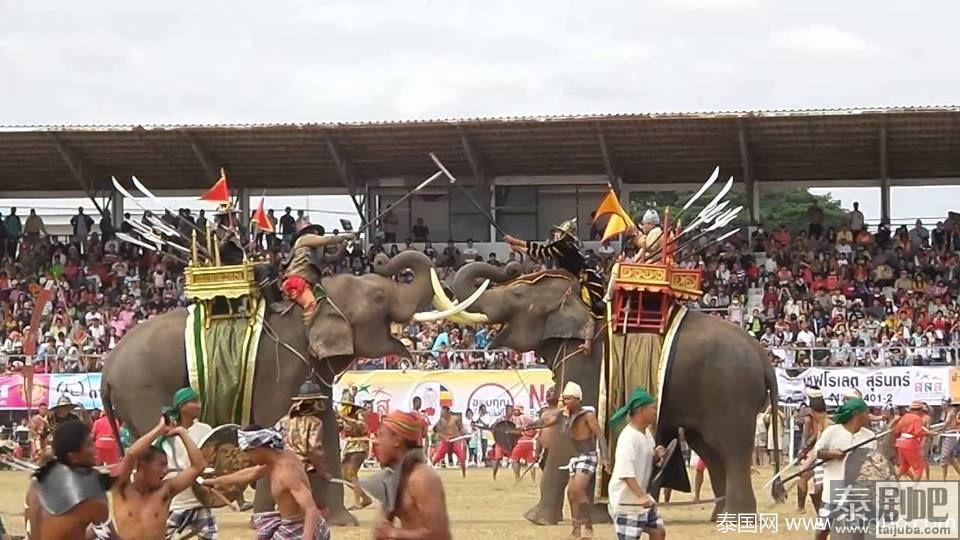 泰国一年一度的“素林府大象节”今年取消啦！