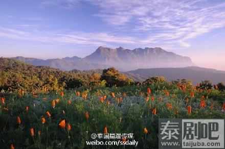 泰国旅游清迈冬季美丽风光：阳光、花、山中平整的公路