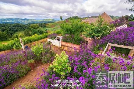 泰国旅游清迈冬季美丽风光：阳光、花、山中平整的公路