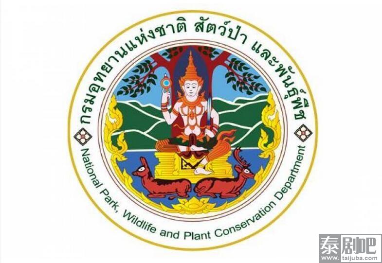 泰国保护局下令保护游客安全