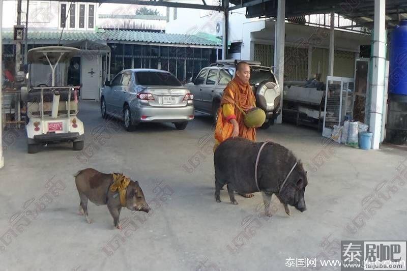 泰国僧人带