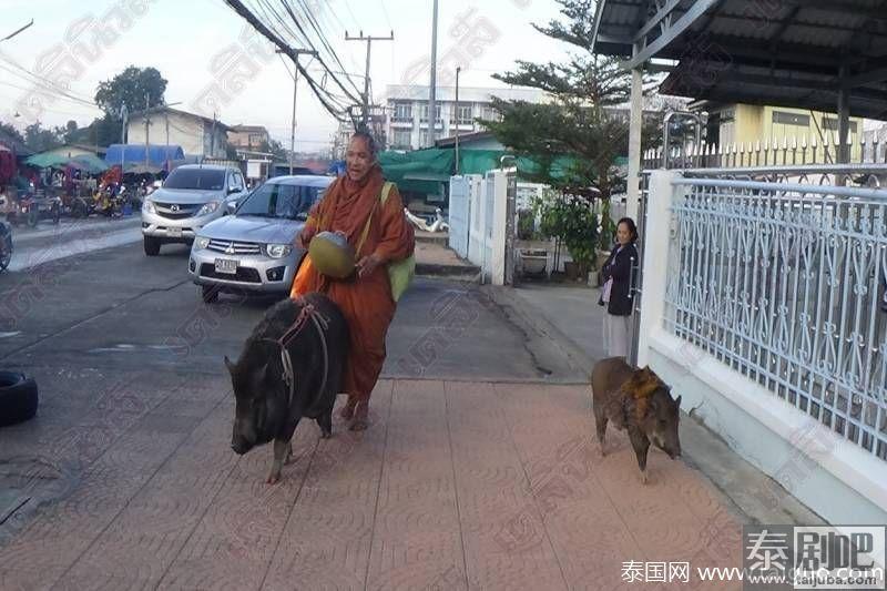 泰国僧人带