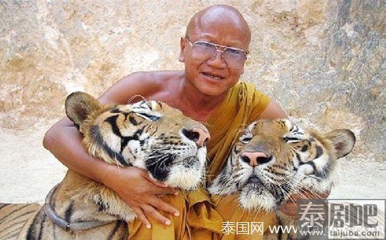 泰国北碧府虎庙疑涉嫌走私非法买卖和持有野生动物