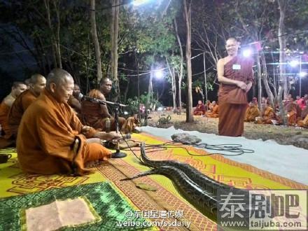 泰国北标府瓦探考教寺