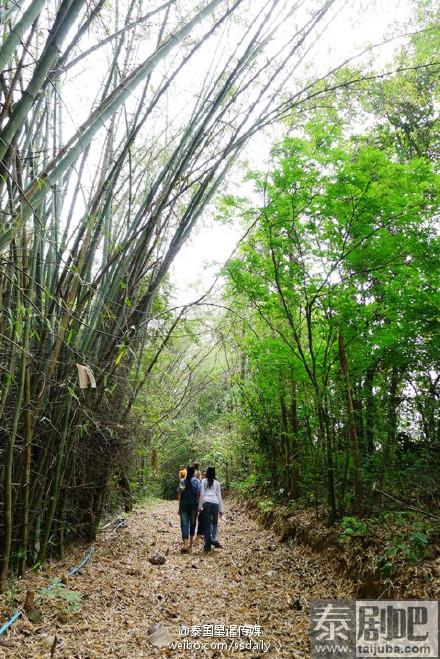 泰国北标府瓦探考教寺