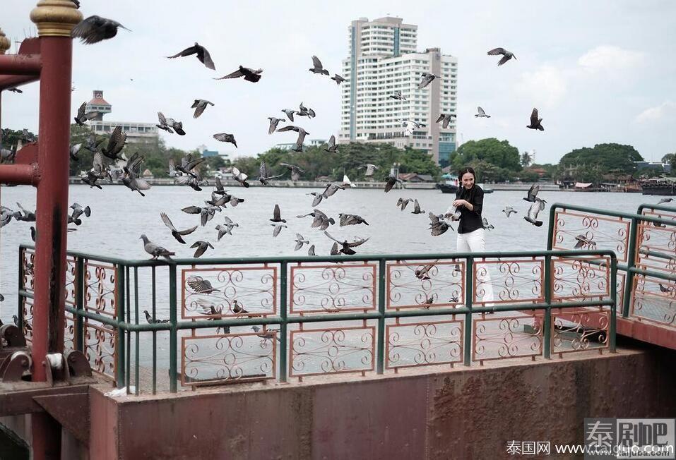 泰星Aum