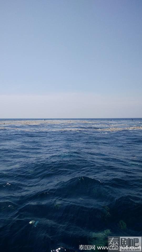 春蓬府泰国湾成“垃圾湾” 飘满生活垃圾触目惊心！