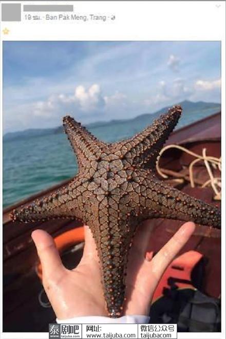 泰国甲米府一女子捞海星拍照遭网友大骂