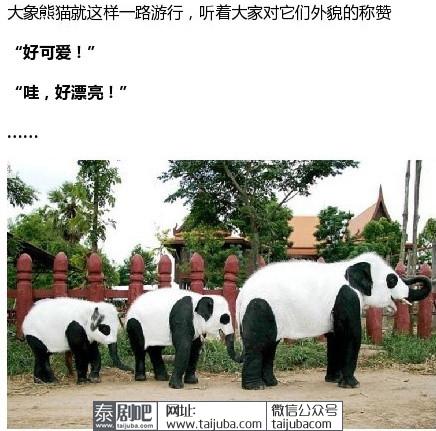 泰国把大象打扮成熊猫