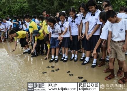 泰国民众放生1066只海龟
