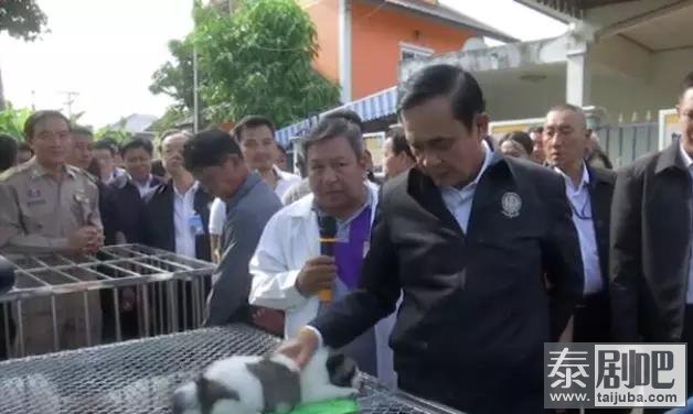 只因送了2只小狗，泰国总理巴育被调查3.jpg