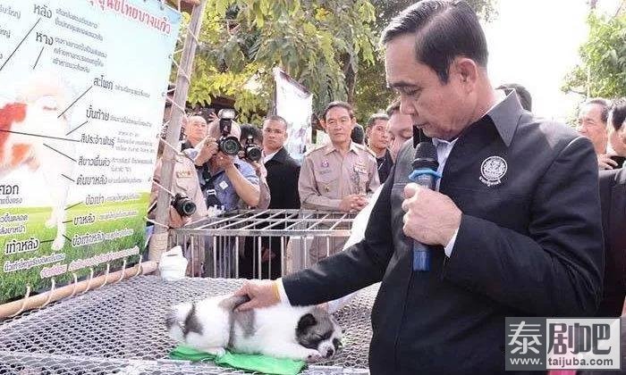 只因送了2只小狗，泰国总理巴育被调查2.jpg